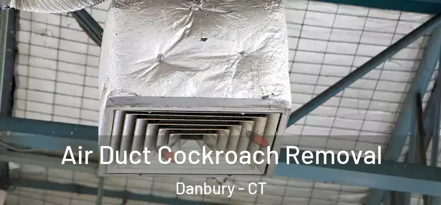  Air Duct Cockroach Removal Danbury - CT
