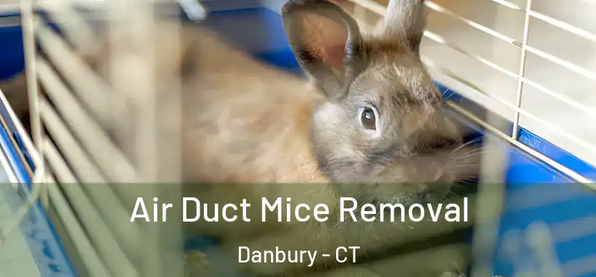 Air Duct Mice Removal Danbury - CT