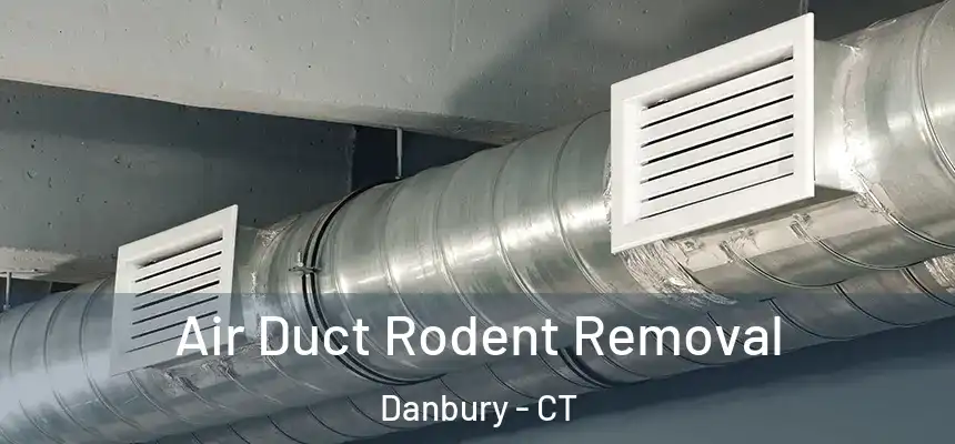 Air Duct Rodent Removal Danbury - CT