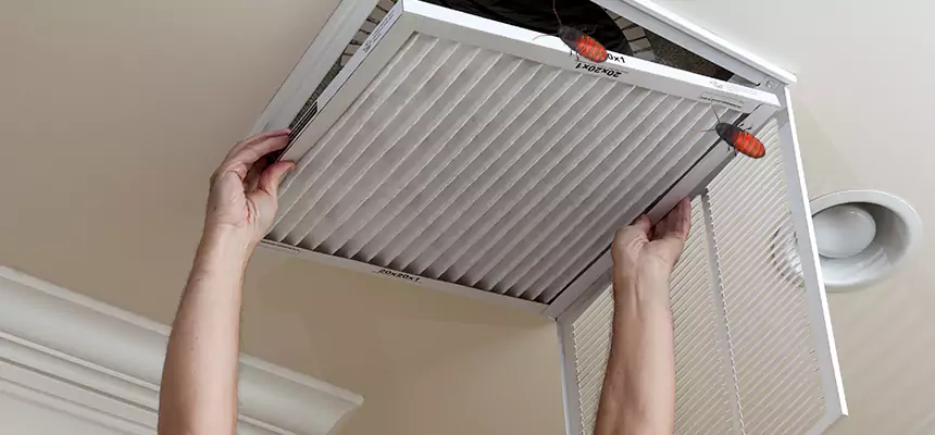 Preventive Cockroach-Proofing for Ducts in Danbury