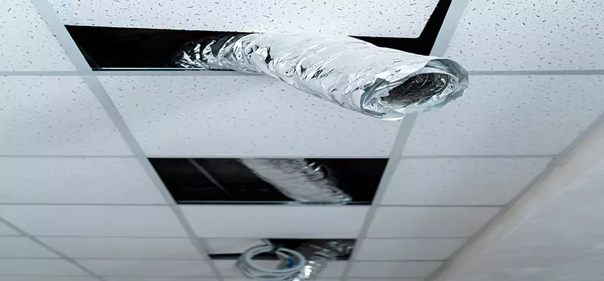 Affordable HVAC Sanitizing After Pest Removal in Danbury