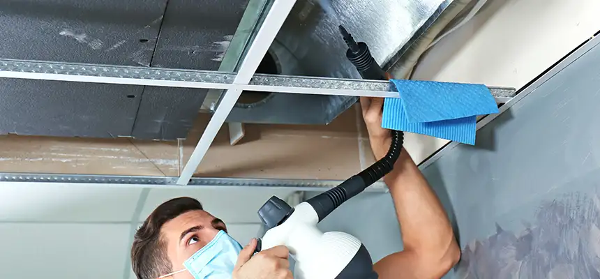 Our Air Duct Rodent Removal Services in Danbury, CT