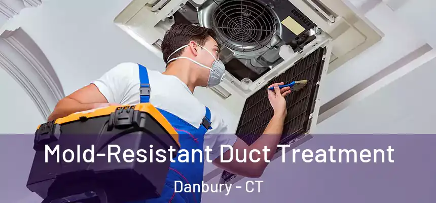 Mold-Resistant Duct Treatment Danbury - CT