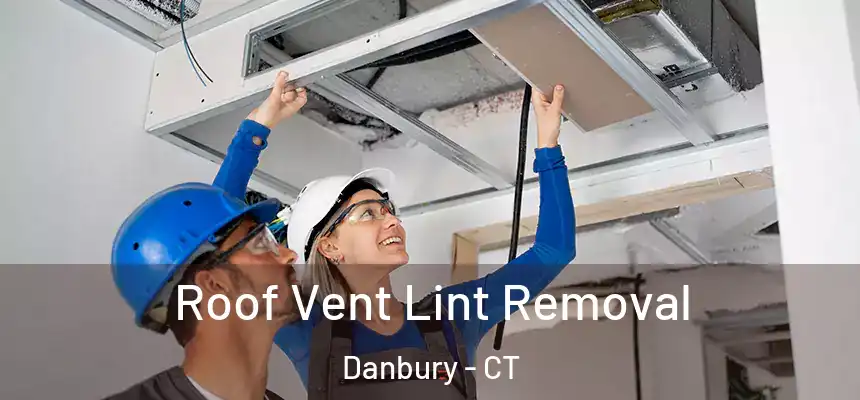 Roof Vent Lint Removal Danbury - CT