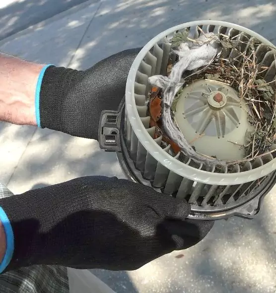 About Air Duct Mice Removal in Danbury, CT