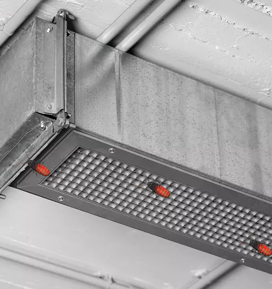 Affordable Insect Removal from Air Ducts in Danbury, CT