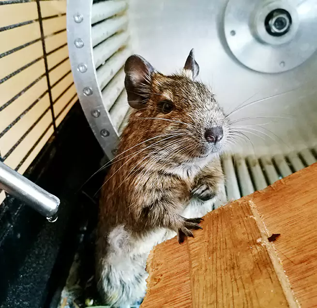 Why Homeowners & Businesses Trust Us Danbury, CT