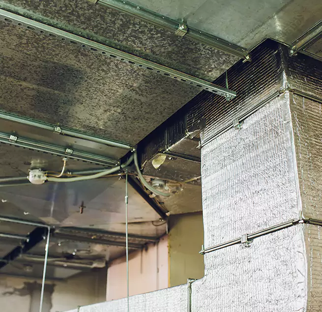 Why Homeowners & Businesses Trust Us in Danbury, CT?